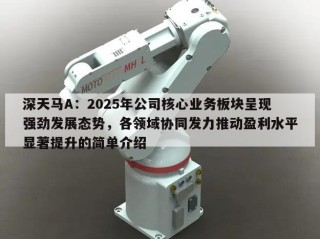 深天马A：2025年公司核心业务板块呈现强劲发展态势，各领域协同发力推动盈利水平显著提升的简单介绍